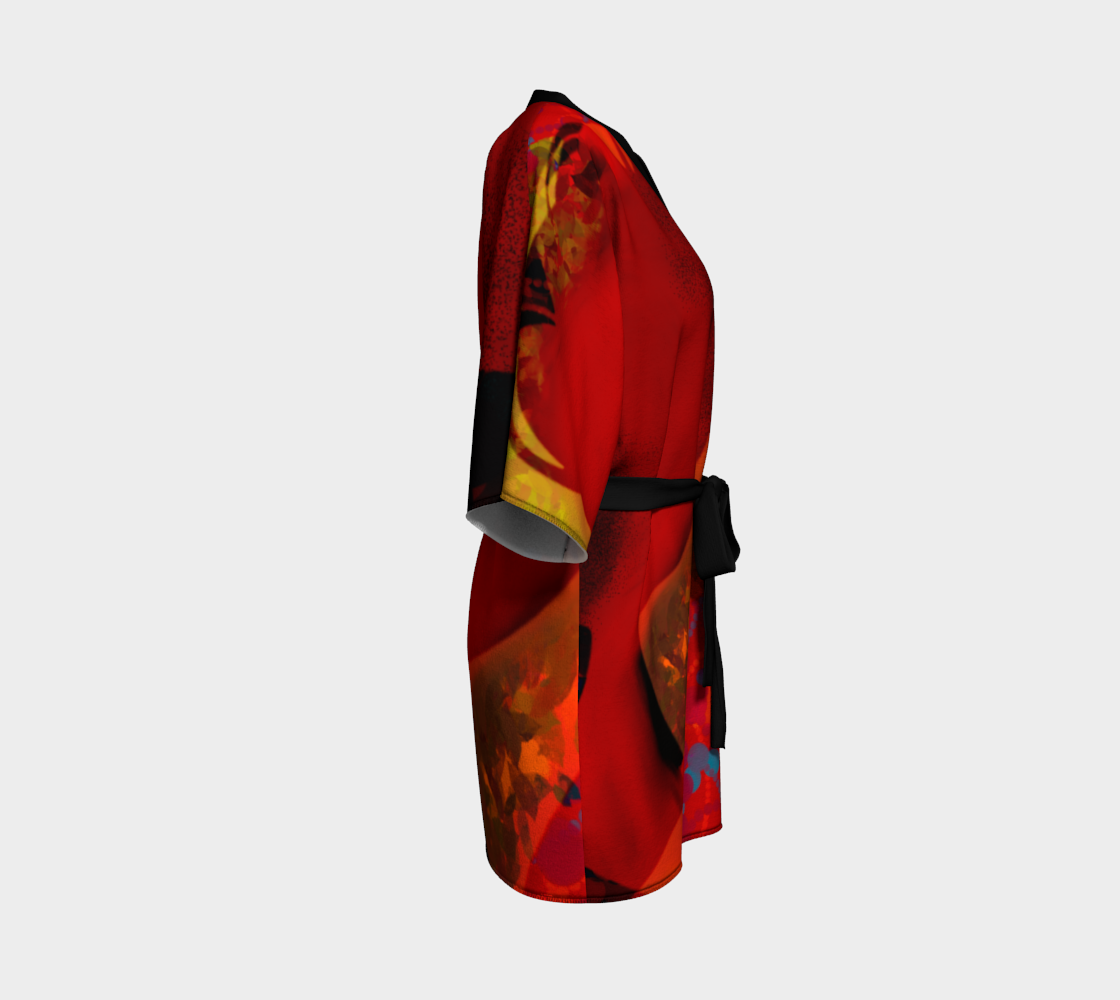 Kimono Robe Kimono Robe
